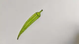   Easy Ladyfinger Drawing || How To Draw A Ladyfinger easily. 