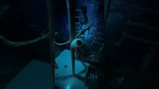 PHUKET AQUARIA 12.26.26