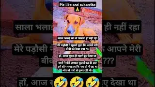 #funny #doggylaughs #dogcomedy #dog #comedy #doggycomedy #doggycomedy #funnydoggos #funnydoggos