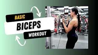 Biceps Basic | Weekly Split Workout