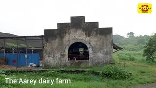 #AareyColony #Tribal #Adivasi #Mumbai Farming in Mumbai