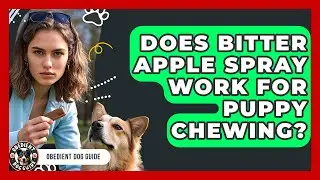 Does Bitter Apple Spray Work For Puppy Chewing? - Obedient Dog Guide