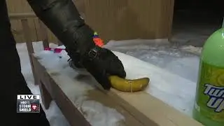 Frozen banana hammer & freezing an egg