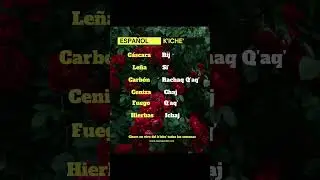 clases del idioma kiche, nivel principiante, intermedio