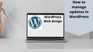 How To Manage Updates On A WordPress Website!