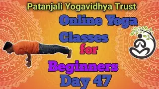 Free Online Yoga Classes for Beginners ll Yoga wellness Training Day 47 ll Yoga for weight Loss