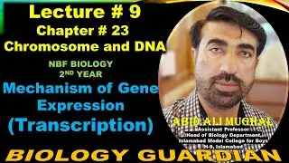 Transcription | 1st Step of Gene Expression | Lecture 9 Ch 23 NBF Biology-12 By Abid Ali Mughal