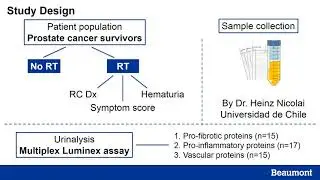 #283 Understanding the progression of radiation cystitis in prostate cancer survivors through urine.