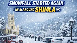 Heavy Snowfall Returns in Shimla & Nearby Areas | #shimla #snowfall #himachal #winterwonderland 