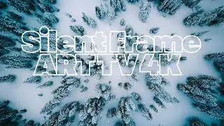2 Hours of Silent Frame art tv: Stillness in the Pines wallpaper 4k