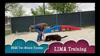 LIMA Training: A Two Minute Tuesday Presented by DuPage County Animal Services