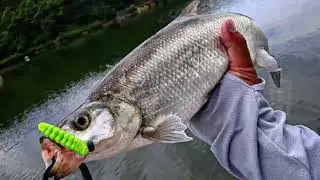 Spinpoler Poor Worm Soft Fishing Lure TPR Floating Bionic Caterpillar Plastic Baits For Bass Trout
