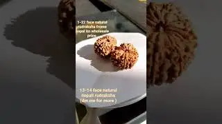 for me details about gems and rudraksha leave your comments below 🙏