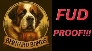 Bernard Bonds AMA With AJ!  Bring On The FUD!!!  EarnFi DexFi EMP Honor vs Madness PACA Finance?????