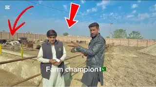 Dairy farm, Pakistan champion, Australia, Barania, America, Sri Lankan, Saudia Dubai RK Sam