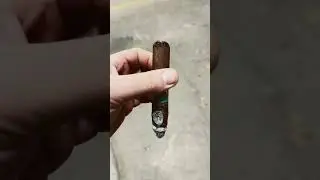 Alec Bradley Prensado Robusto Review #cigar #cigarreview #cigarasmr