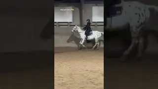 Red Mega s&oslash;de Oliver i g&aring;r  og han var super s&oslash;d ☺️
