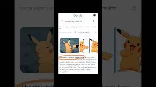 Pikachu had a blacktail we see that in our childhood....
