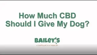 How Much CBD Should I Give My Dog?