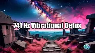 741 Hz Vibrational Detox | Reset Your Energy Field | 1 Hour ✨🌀🌿