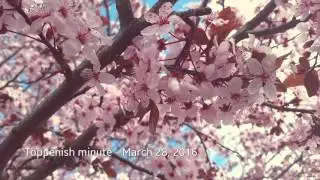 Toppenish minute #3