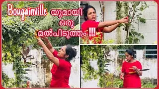 Day in my life | Evening Vlog | Achu&rsquo;s Lifestyle 