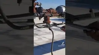 liquid ammonia