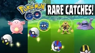 Pokemon GO | HUGE RARE POKEMON CATCHING SPREE!! Catching Chansey, Tangela, Wartortle & More!