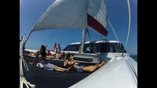 Carino Wildlife Cruises - marine conservation - day cruise m