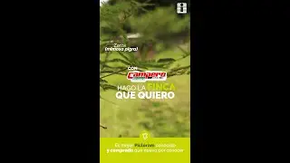 🌱 AGROINVESA | HERBICIDA PARA MALEZAS DE HOJA ANCHA Y ARBUSTIVAS 🌿❌