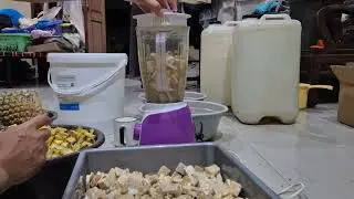 Cara Pembuatan Enzym Biometa resep dari Prof Ahmad Budiharjo