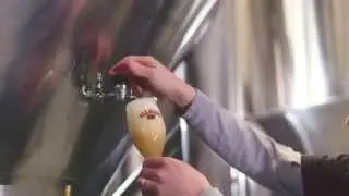 Saison - Our Newest Year-Round Beer