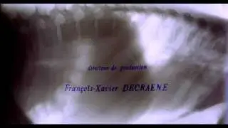 The Diving Bell and the Butterfly - La Mer (opening credits)