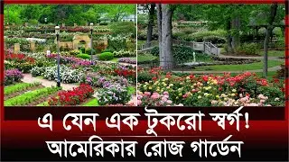এ যেন পৃথীবির বুকে এক টুকরো স্বর্গ! | tyler rose garden | America | Texas | traveling