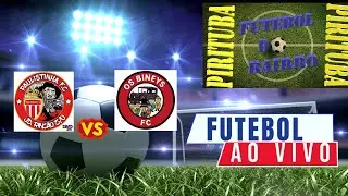 Paulistinha x Os Bineys - Copa Noroeste #sports #soccer #futebol #futbol #copanoroeste #gols
