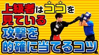 【スパーリング上級者】上級者はここを見ている！攻撃を的確に当てるコツ〜中級者初心者必見です〜