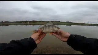 Balık tutmaktan yorulduk / Lrf Perch avı