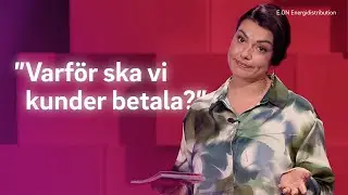 D&auml;rf&ouml;r beh&ouml;vs elektrifieringen | Expertpanelen