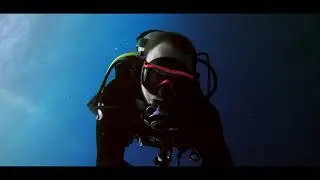 Epic Red Sea  - A Cinematic Dive Film