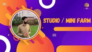 Our studioXmini farm 