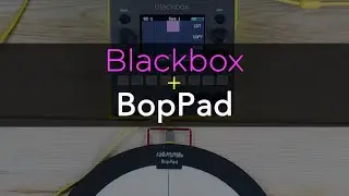 1010music Blackbox + Keith McMillen BopPad