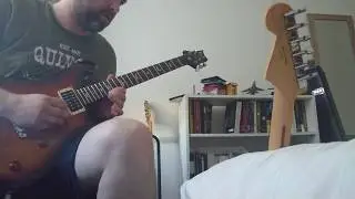 PRS SE Standard 22