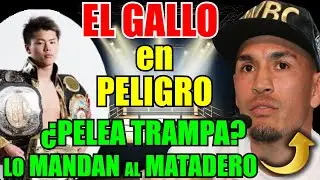 🚨ULTIMA HORA💥Alerta roja para el Gallo Estrada🧨este rival no es lo que parece👈RIESGO TOTAL👈BOXEO