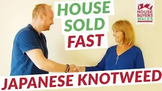 How to Sell a House with Japanese Knotweed FAST - House Buyers Wales Review (Cardiff)