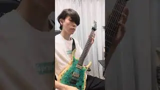 While True: / Violet Lily Guitar Cover #guitar #guitarcover #whitefists #skervesen #metal #metalcore