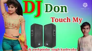 Don Touch my Ghaghariya 💞 Rang Rasiya💞 dj Remix 💞 dj Pushpindar Singh MP 💞 song