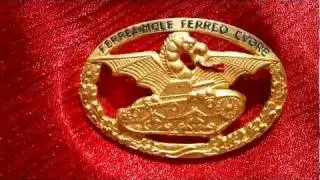 WW2 Italian Tank Service Badge