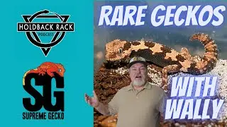 HRP 113 - Rare Gecko Business with Wally Kern of Supreme Geckos