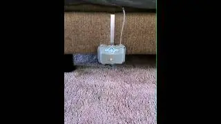 Cat Door Buddy Prototype 1  (w/Furniture Attachment)