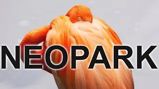 NEOPARK  NAGO, best Zoo in Okinawa?